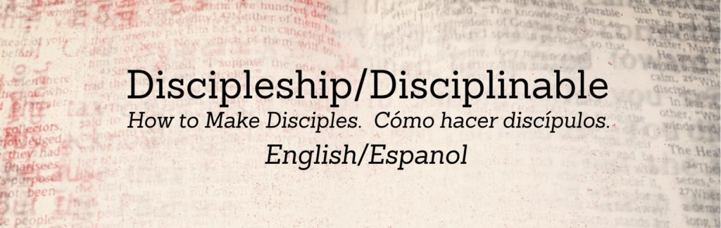 discipleship-wide-banner-english-spanish